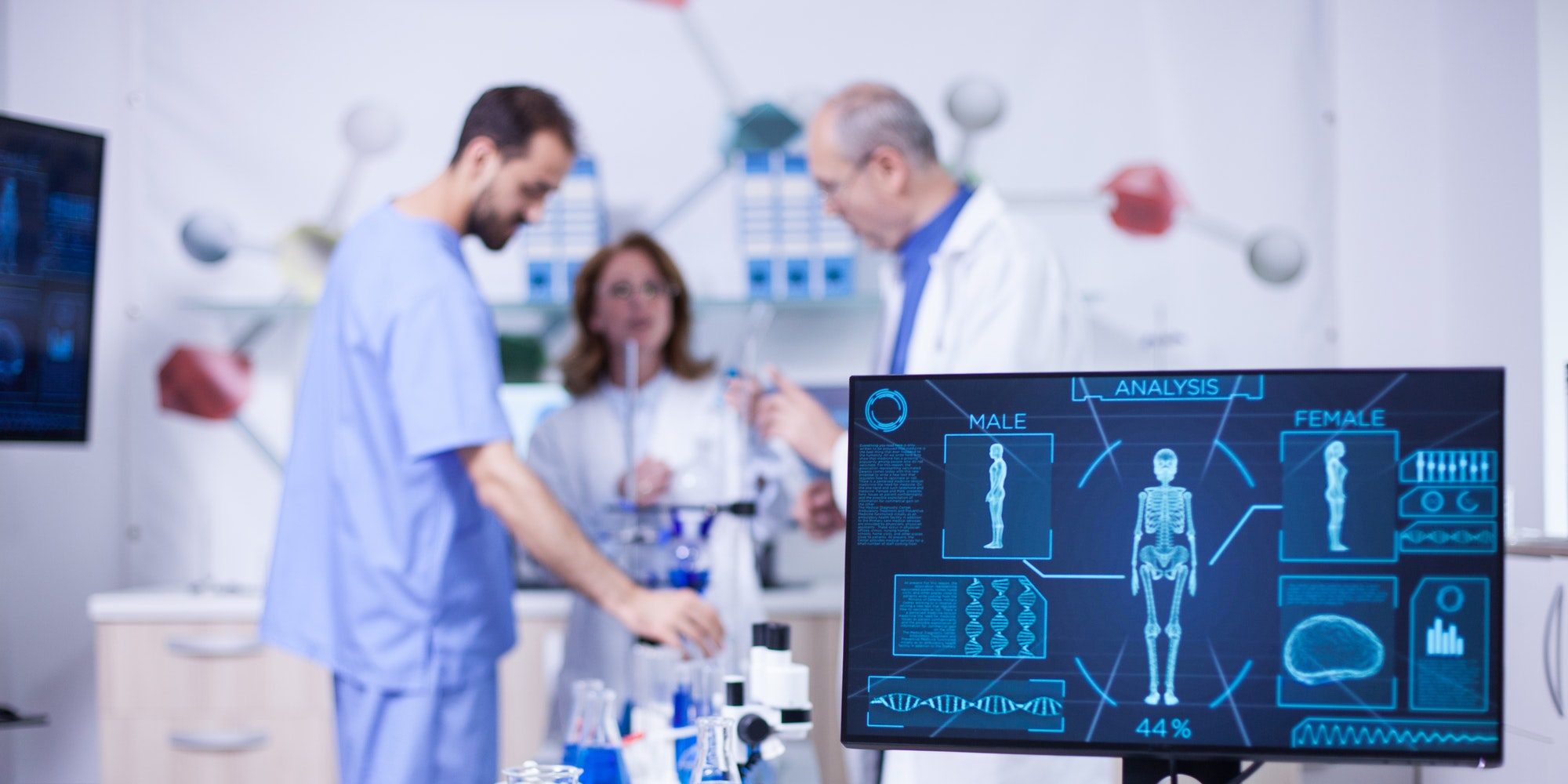 Antibody Production & Bioassay Services