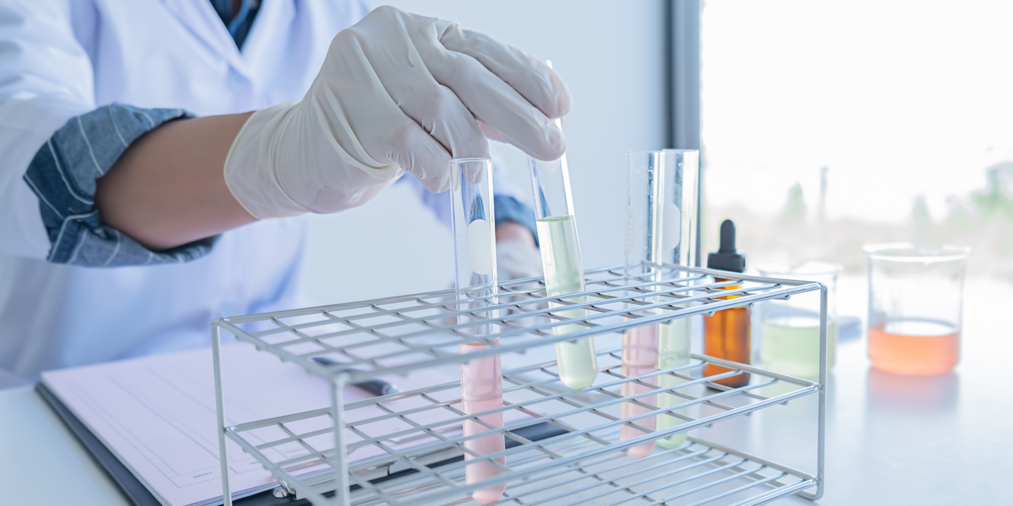 Toxicity Studies